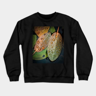 Pondweed Leaves with Raindrops Crewneck Sweatshirt